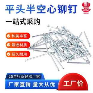 深圳铆钉
